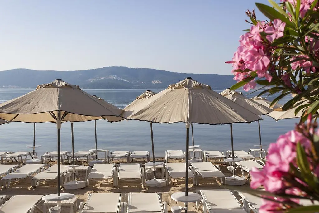 Aurum Didyma Spa & Beach Resort アクブク